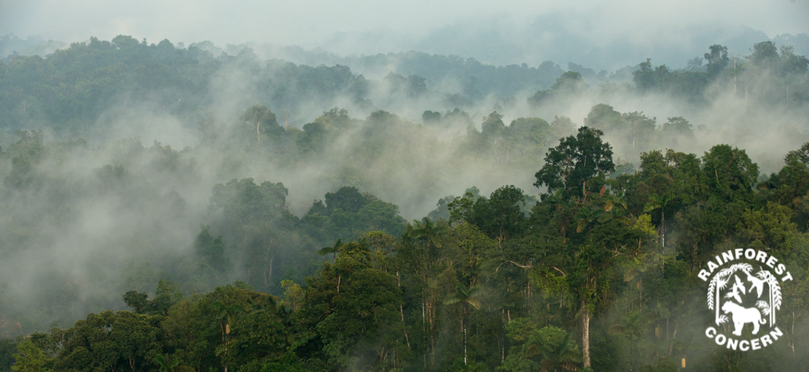 Rainforest Concern